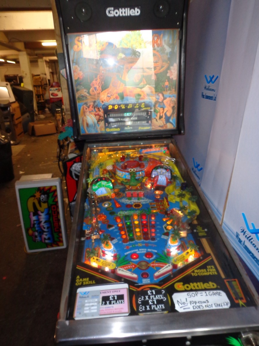 Top 5 Arcade Games Throughout the Ages - Williams Amusements